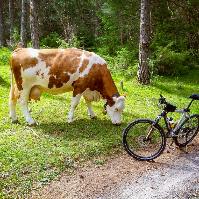 Titelbild für Fahrradurlaub in Tirol